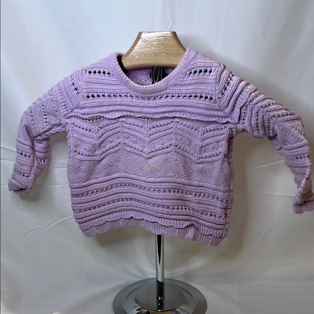 GAP Purple Crew Neck Sweater with Chevron Pattern